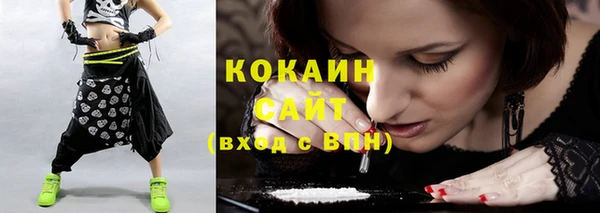 дживик Верхний Тагил