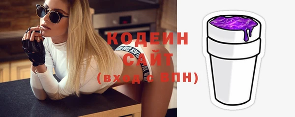 дживик Верхний Тагил