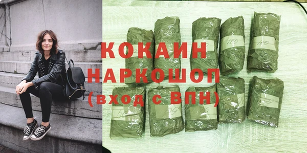 дживик Верхний Тагил