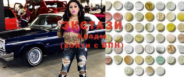 дживик Верхний Тагил