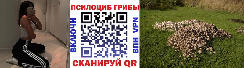 Галлюциногенные грибы Psilocybine cubensis  хочу   Воткинск 