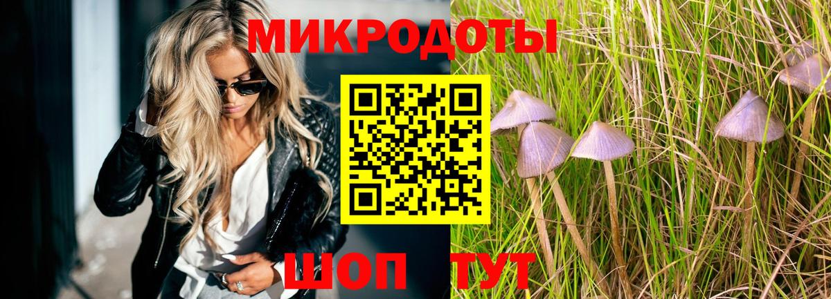 Псилоцибиновые грибы мухоморы  где найти наркотики  Воткинск  Вход с VPN 